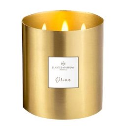Plantes et Parfums - Orion Grande Bougie Végétale Parfumée 1.3 l