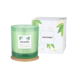ava&may - Maxi bougie parfumée Île Maurice Bougie Parfumée 500 g