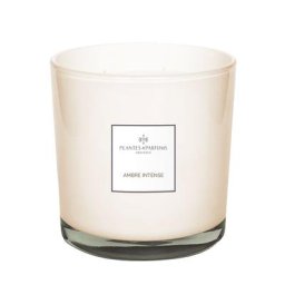 Plantes et Parfums - Ambre Intense Grande Bougie Végétale Parfumée 1.1 l