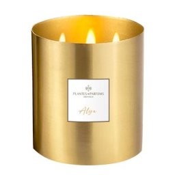 Plantes et Parfums - Alya Grande Bougie Végétale Parfumée 1.3 l