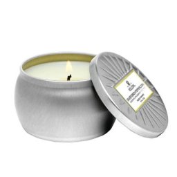 voluspa - Silver Birch Grande BOUGIE 2721.5 g