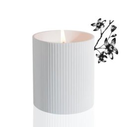 alex simone - NEROLI RIVIERA (Mandarine fleur) Bougie parfumée 250 g