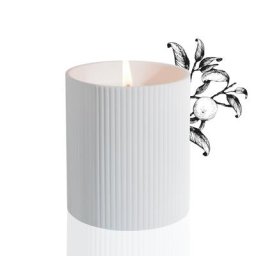 alex simone - PETIT GRAIN DE SOLEIL (Mandarine feuille) Bougie parfumée 250 g