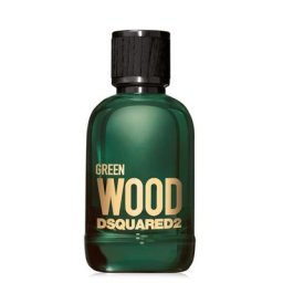 Dsquared2 - DSQUARED2 Green WOOD Eau de Toilette 100 ml
