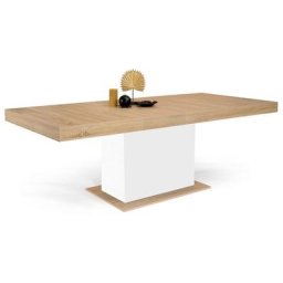 Idmarket - Table à manger extensible eden 6-10 personnes bois et blanc 160-200 cm - Bois-clair