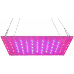 Eclairage horticole led élèvent la lumière rouge bleu à spectre complet 81 led élèvent des lampes