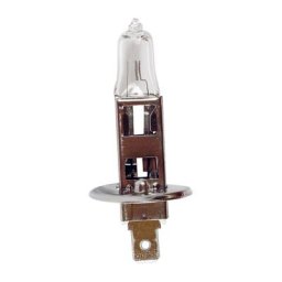 10 Ampoules 12V H1 100w P145s