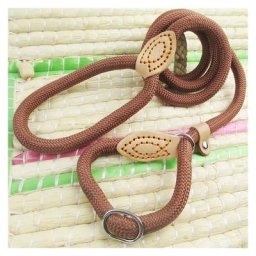 Laisse Dressage Chien Collier Laisse Chien Laisse Lasso Laisse en Cuire Laisse Educative Sangle