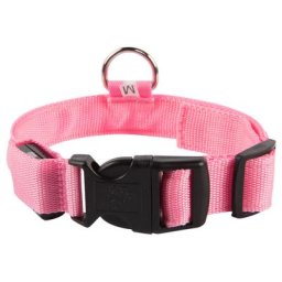 Collier Lumineux Chien Rechargeable et Etanche, Collier led Chien de Sécurité avec Ceinture