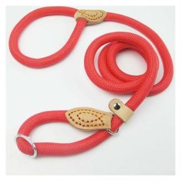 Laisse Dressage Chien Collier Laisse Chien Laisse Lasso Laisse en Cuire Laisse Educative Sangle