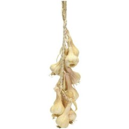 Décoration végétale artificielle tresse d'ail 10 pièces cm15x50x6,5