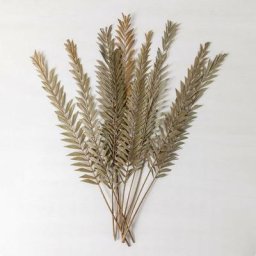 Lot de 10 branches sèches décoratives Sarat Sklum Vert Bambou - Vert Bambou
