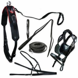 Mini shetty, Noir et rouge: Garniture bicolore simple poney et shetland