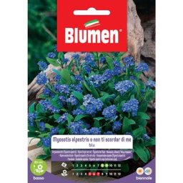 Graines myosotis alpestris ou ne m'oubliez pas