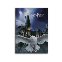 Plaid polaire Harry Potter - 100x140 cm