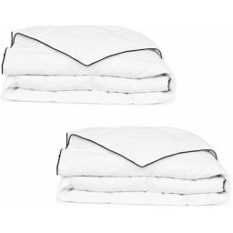 Couette en duvet d'hiver 2 pcs 150 x 200 cm vidaXL - Blanc