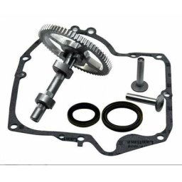 Arbres à cames Briggs & Stratton 793880 793583 792681 791942 795102 Kit de remplacement de came