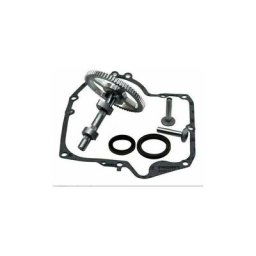 Arbre à cames Briggs & Stratton 793880 793583 792681 791942 795102 Kit de remplacement de came avec