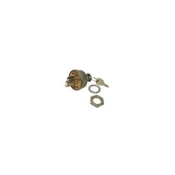 Jardin Affaires - Contacteur à clef tracteur tondeuse, Mtd, Mastercut, White, Gutbrod, Sentar,
