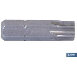 Pointe de tournevis Torx T-10 25 mm