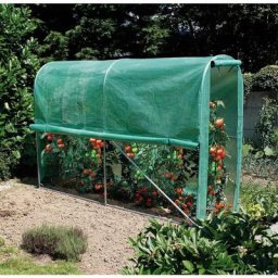 Nortene - Serre tunnel Tomato Greenhousepour potager - 3 x 1 x 2 m