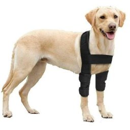 Chien Genouillère Chien Jambe Pad Chien Coude Épaulière Coude Eczéma, Dysplasie, Arthrose Respirant