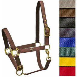 Balade à poney bleu: Gagnant en nylon lourd rembourré avec boucles en laiton