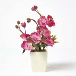 Orchidée artificielle rose en pot ivoire 40 cm - Rose - Homescapes
