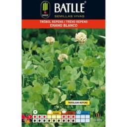 Graines de Trèfle Blanc Nain Batlle Paquets 100 g, 250 g et 1 kg 100 g.