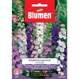 Graines delphinium vivaces mix Blumen