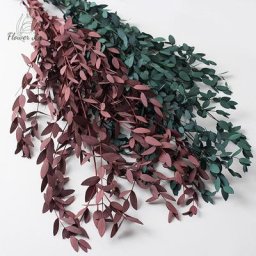 Bouquet de fleurs séchées d'eucalyptus pour la décoration intérieure plantes vertes artificielles