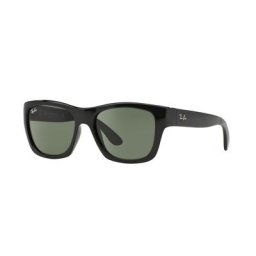 Ray-Ban Sunglass RB4194