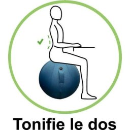 Ballon d'assise ergonomique Alba move hop gris clair - Gris