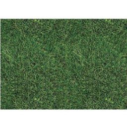 Rouleau Sticker Pelouse 45 x 150 cm