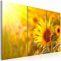 Tableau soleil et lumière - 120 x 80 cm - Jaune, Marron