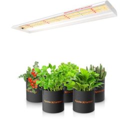 Spider Farmer SF300 33W LED élèvent la lumière pour la fleur végétale de semis