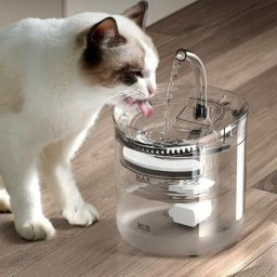 Distributeur d'eau pour animaux de compagnie filtre de circulation automatique distributeur d'eau