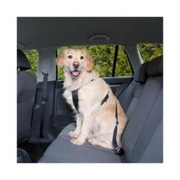 Ceinture de sécurité Friends on tour pour chiens Taille l Longueur 70/90 cm (Ex : Labrador)