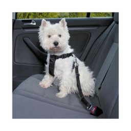 Ceinture de sécurité Friends on tour pour chiens Taille s Longueur 30/60 cm (Ex : Westie)