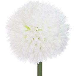 Atmosphera - Tige de pompons artificiels - H60 cm créateur d'intérieur - Blanc