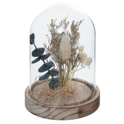 Silumen - Cloche en Verre de Fleurs Séchées 17 cm - Blanc Blanc