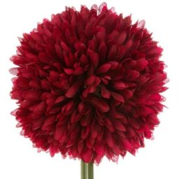 Atmosphera - Tige de pompons artificiels - H60 cm créateur d'intérieur - Rouge