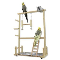 Support de Jeu de Perroquet d'oiseau en Bois / avec chelle Balanoire Aire de Jeux / Ensemble de