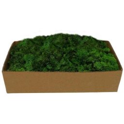 Muschio Lichene Verde 500 gr