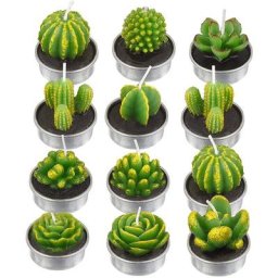 12 bougies de cactus, bougies succulentes de plantes artificielles, bougies de cire de thé de la