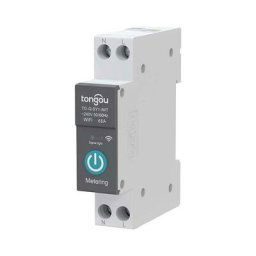 Tuya App Smart Life Rail pour télécommande sans fil Smart Home 1P diy Idée tongou (avec mètre 63 a)
