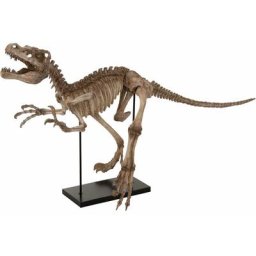 Dino raptor sur pied résine marron clair - Marron