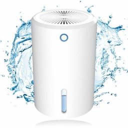 Déshumidificateurs Mini déshumidificateurs électriques 900 ml, déshumidificateur portable,