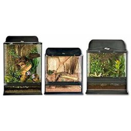 45x45x60 cm: Terrarium naturaliste Zoo Med avec système de ventilation frontal et supérieur