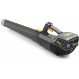 Alpina - abl 48 Li Kit - Souffleur de feuilles à batterie Batterie et Chargeur Inclus